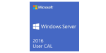 Windows Server CAL 2016 Russian 1pk DSP OEI 5 Clt User CAL (R18-05253)