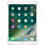 Apple iPad Pro Gold MQDX2RK/A (10.5" 2224х1668 A10X Fusion 64Gb Wi-Fi)