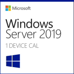 Windows Server CAL 2019 English 1pk DSP OEI 1 Clt Device CAL (R18-05810)