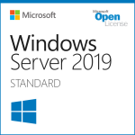 Windows Svr Std 2019 64Bit English 1pk DSP OEI DVD 24 Core (P73-07807)