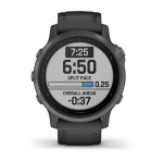 Smart Watch Garmin fenix 6S Pro and Sapphire Carbon Gray/Black (010-02159-25)