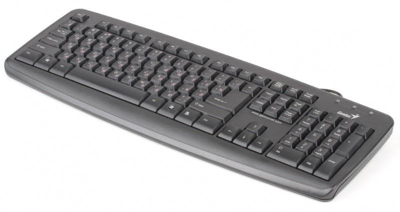 Keyboard Genius KB-110 Black USB