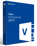 Visio Pro 2019 32/64 Russian Central/Eastern Euro Only EM DVD (D87-07414)