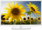 24" LED TV Samsung UE24H4080AUXUA White (1366x768 HD 1xHDMI 1xUSB Speakers 10W)