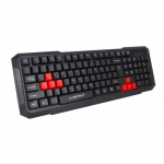 Keyboard Esperanza ASPIS EGK102R US Layout Black USB