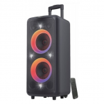 Speakers F&D PA300 Portable Black 100W