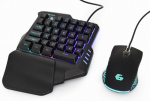 Keyboard & Mouse Gembird GGS-IVAR-TWIN Gaming desktop kit US layout USB